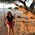 Caitlyn Germinaro's profile image