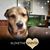 Carrie Millien Carlisle's profile image