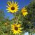 Vickie Walters's profile image