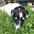 Jennifer Graceffo's profile image