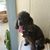 Bobbie Dansby Padelford's profile image