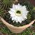 Debbie Roberts's profile image