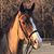 Kathleen Terry-Sharp's profile image