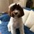 Linda McArtor's profile image