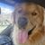 Teresa Cahail Alvensleben's profile image