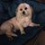 Ruth Vaca's profile image