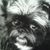 Brenda Tramel's profile image
