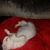 Linda Duerr-Webb's profile image