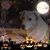 Marilyn A. Boisvert's profile image