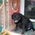 Pat Benson Vogel's profile image