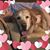 Sherri Cross's profile image