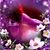 Janet Bailey's profile image