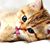 Pat Pelky's profile image