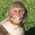Sean Bracewell's profile image