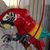 Linda Findora's profile image