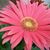 Doris Molina's profile image