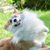 Victoria Steen's profile image