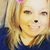 Kelly Key Milam's profile image