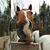 Katie Dominique's profile image
