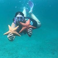 Debra Goff Werner's profile image