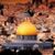 Emad Alahmad's profile image