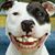 Eddie Sinclar's profile image