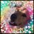 Brenda Myers's profile image