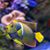 John Duff's profile image