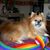 Sharon Christina's profile image
