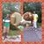 Yate Tripp's profile image