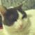 Heidi Riggans's profile image