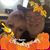 Steve Hall's profile image
