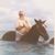 Roger Quillen's profile image