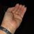 Dawn Coene Rumsey's profile image