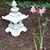 Paula Evans Johnson's profile image