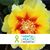 Sherri Bayless's profile image