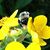 Ilona Pyrich's profile image