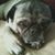 Marsha Manuel's profile image