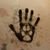 Karen Anderson Martin's profile image