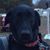 Beverly Kotsur Tscheschlog's profile image