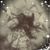 Rebecca Singletary's profile image