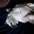 Kelley Harris OConnor's profile image