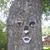 Cinda Lu's profile image