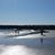 Karen Narreau's profile image