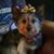 Allison Torseth's profile image