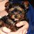 Cyndee McDonald Delk's profile image