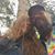 Heather Marie Bundgaard-Thompson Jr's profile image