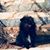Tyna Barkley's profile image