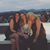 Erica Whitlow Strother's profile image