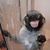Mandy Merritt Golding's profile image
